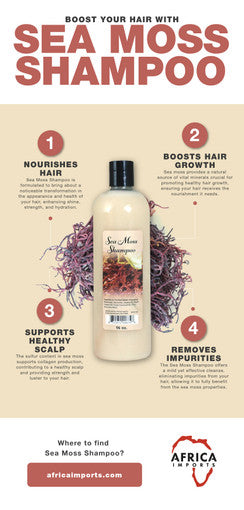 Sea Moss Shampoo - 16 oz.