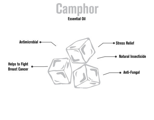 Camphor Essential Oil - 4 oz.