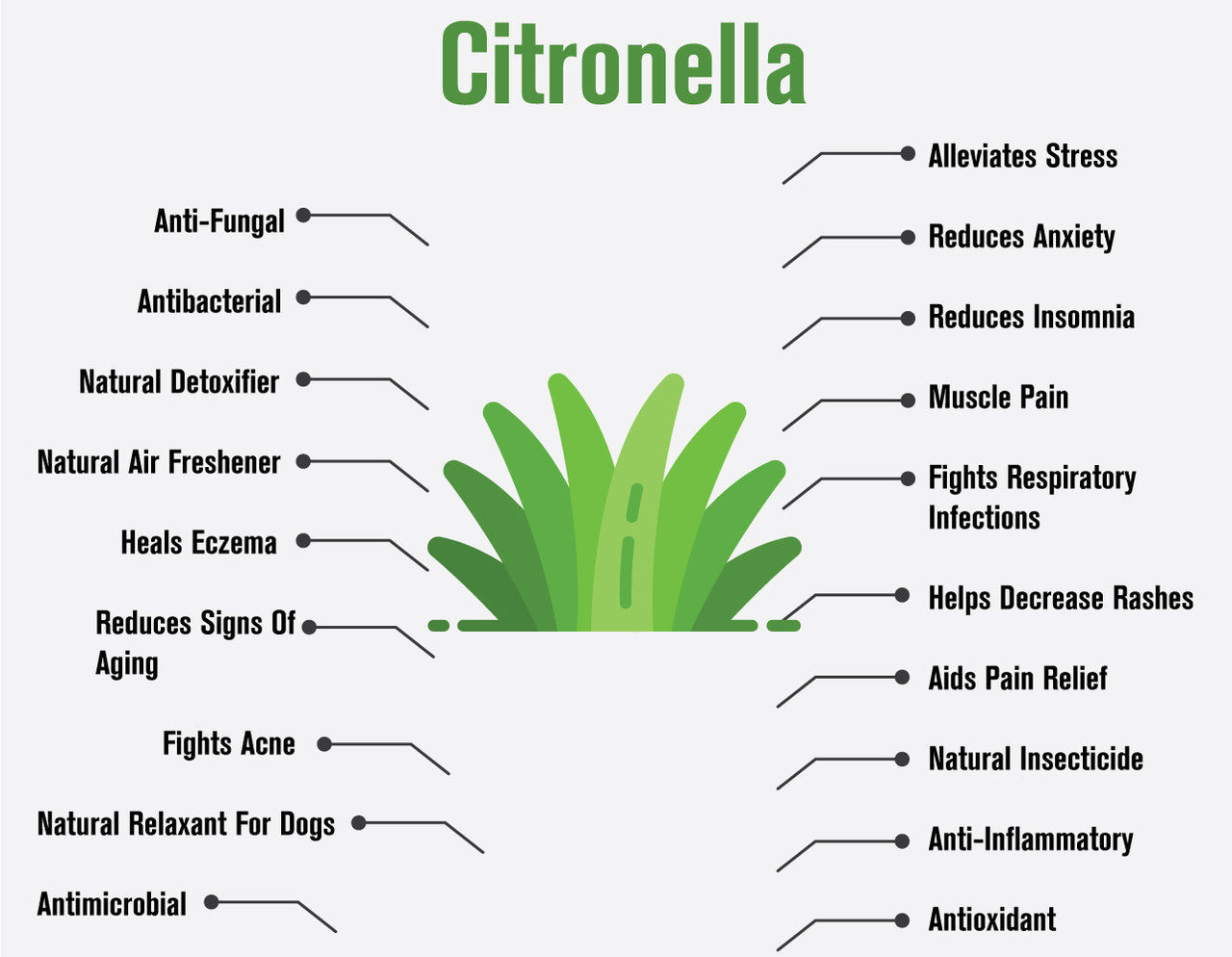 Citronella Essential Oil - 1 oz.