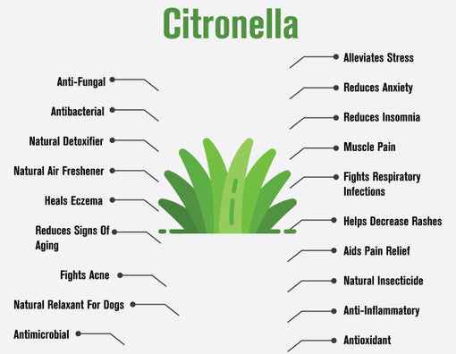 Citronella Essential Oil - 4 oz.