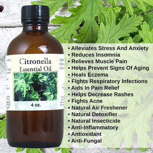 Citronella Essential Oil - 4 oz.