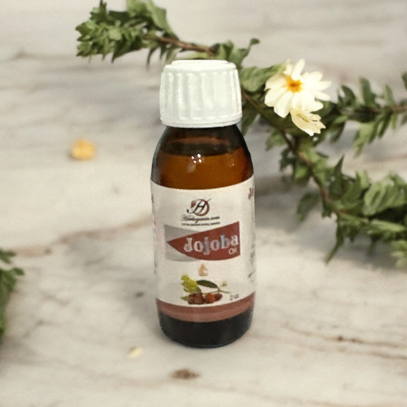 Jojoba Oil - 2oz