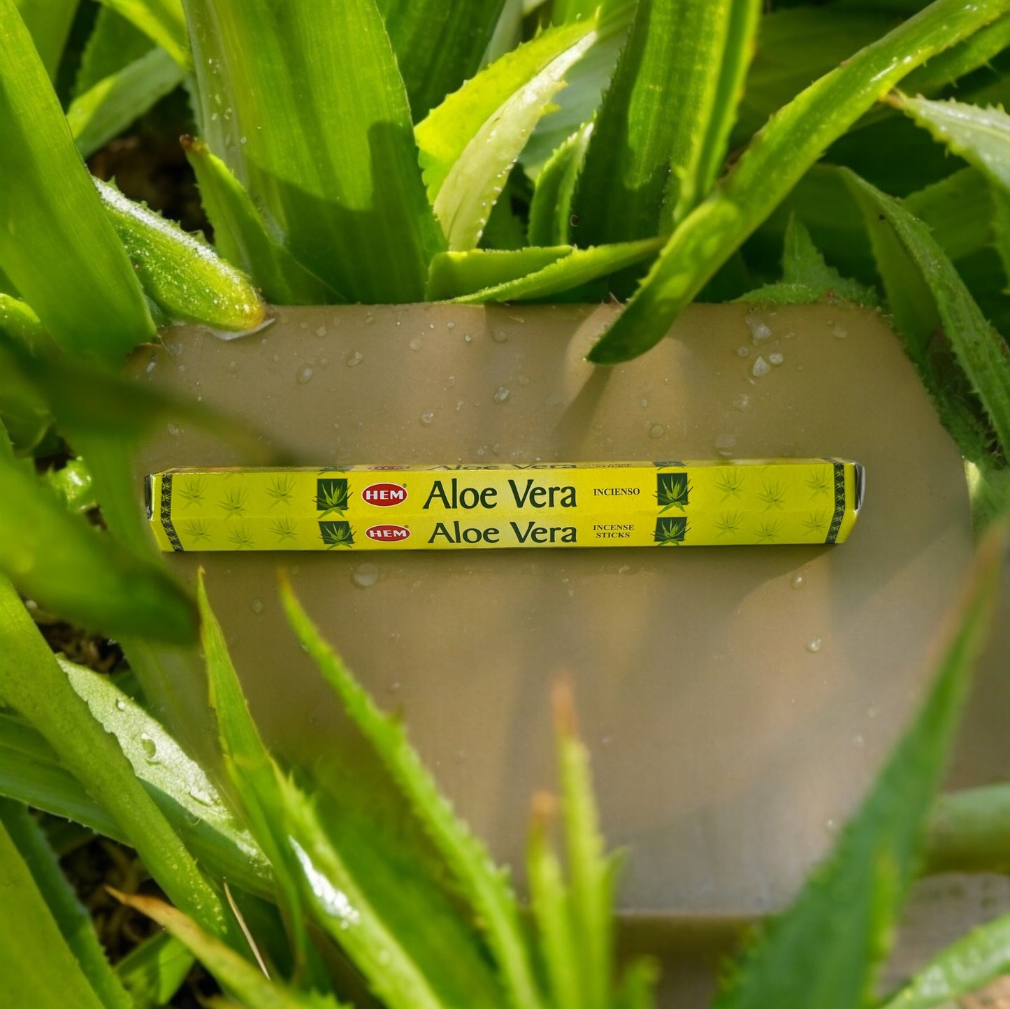 Aloe Vera Incense (20) Pack