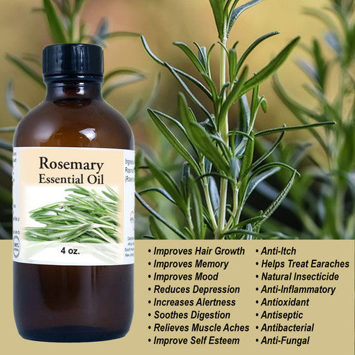 Rosemary Essential Oil: 4 oz