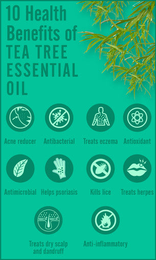 Tea Tree (Organic) Essential Oil - 1 oz